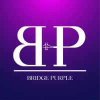 Bridge Purple Group logo - Similar company to It Recruits - Excellent It Recruiting