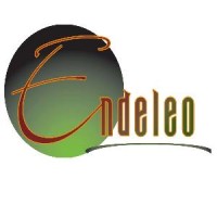 The Endeleo Institute logo - Similar company to Rudd Resources Llc