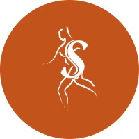 Rocky Mountain Spine & Sport logo - Similar company to Alpine Therapy