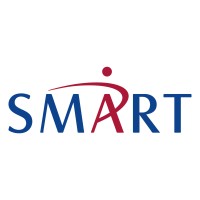 SMART MS SA logo - Similar company to Smart System Services