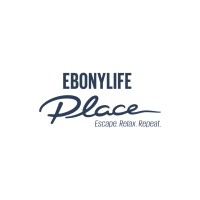 EbonyLife Place logo - Similar company to King Internet