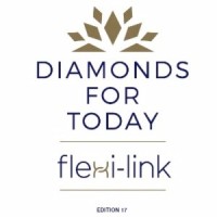 IDJC / Diamonds For Today logo - Similar company to Amplify Wealth