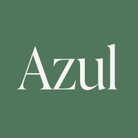 Azul Rugs logo - Similar company to Bright Evolve B.V.