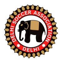 Delhi Soccer Association logo - Similar company to Cxo Verse
