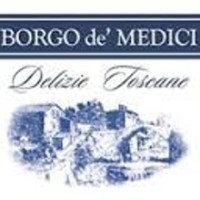 BORGO DE  MEDICI S.R.L. logo - Similar company to Sidesa