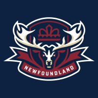 Newfoundland Regiment logo - Similar company to Automation Solutions