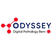 Odyssey Digital Pathology Bern logo - Similar company to Stratis Data Labs