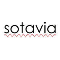 Sotavia Technologies logo - Similar company to Solution Logistics