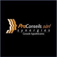 ProConseils Synergies Sàrl logo - Similar company to Flexpme Sa
