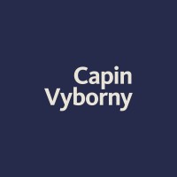 Capin-Vyborny logo - Similar company to Roll-A-Shield