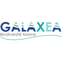 GALAXEA MISSIONS OCEANOGRAPHIQUES logo - Similar company to Thalassa Marine Research & Environmental Awareness