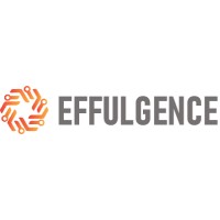 Effulgence logo - Similar company to Primxact It Consultants Services Int