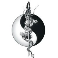 École Pak-Mei Orthodoxe de Kung-Fu (Courbevoie) logo - Similar company to Mma Assurances Jean-Christophe Brunaud