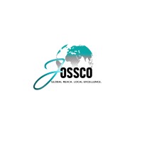 JossCo Consulting Firm, LLC logo - Similar company to Panhwar Group