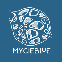 MycieBlue logo - Similar company to Swift Hygiene Industry