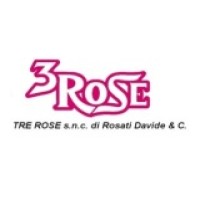 3 Rose S.n.c. logo - Similar company to Acp Computer S.N.C.