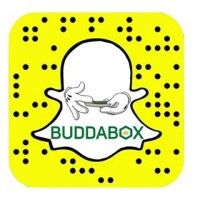 BuddaBox logo - Similar company to Tenstrike