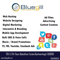 Bluegill Consultants logo - Similar company to Suresbyindia