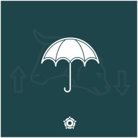 Regent's Investment Society logo - Similar company to Totallyswedish Ltd