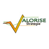 Valorise Strategie logo - Similar company to Valorise