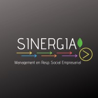 SINERGIA GROUP logo - Similar company to Sinergia Group