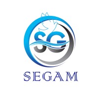 SEGAM AUTO logo - Similar company to Ngh Corp