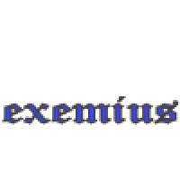 EXEMIUS ADVISING logo - Similar company to TheCodeByters