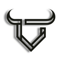 BULLVISION Consulting Inc. logo - Similar company to Ecovatec Solutions Inc.