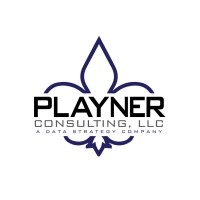 Playner Consulting, LLC logo - Similar company to Dopamin Strategic Consultants Pvt Ltd