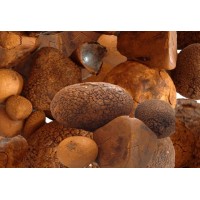 Supplier Of OX gallstones logo - Similar company to Pal Meat Abattoir Ventures
