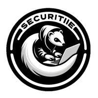 SecuritIIE logo - Similar company to Datasciience