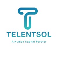 Talentsol logo - Similar company to Peace Solutions