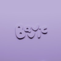 BAVVIC logo - Similar company to Stapelstein