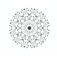 Amanda Gallagher Orthodontics logo - Similar company to Urban Circus Pro
