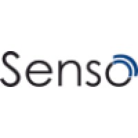 Senso Engineering logo - Similar company to Yapitasi Bilgi Teknolojileri