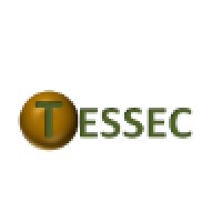 TESSEC logo - Similar company to Gt Technologies