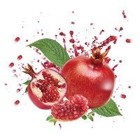 MY Arab Foods logo - Similar company to Method Machine Works