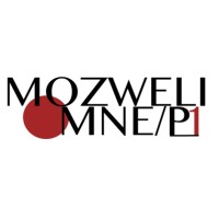 Mozweli MNE logo - Similar company to Mozweli