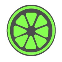Mapo IT Consulting logo - Similar company to Inetika Srl