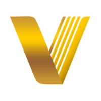 Level V Partners logo - Similar company to C2C Solutions