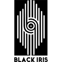 BLACK IRIS logo - Similar company to Big Monkey Studios
