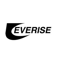 Everise Inc logo - Similar company to Everise Labs