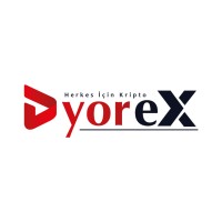 DyorEX logo - Similar company to Bzetmex