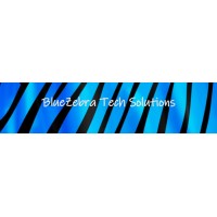 BlueZebra Tech Solutions logo - Similar company to Vudu, Inc.