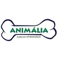 Animalia Pet Care Veterinária 24 horas logo - Similar company to Hospital Veterinário Città Vet
