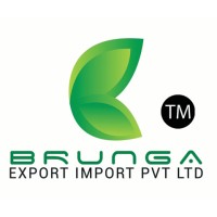 Brunga Export Import Private Limited logo - Similar company to Touchino Export And Import