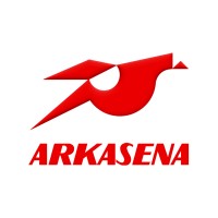Arkasena 3D logo - Similar company to Paradigma Branding