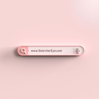 SearcherEye logo - Similar company to Imagrs