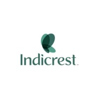 Indicrest International logo - Similar company to Luxeworks Essentials Private Limited