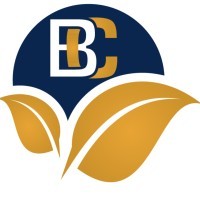 Baceline Capital | Working Capital Loans For Small Business Owners logo - Similar company to Step By Step Quickbooks Tutorial